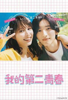 洛阳平台seo优化软件